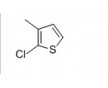 2-氯-3-甲基噻吩	14345-97-2