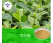 產品供應 茶皂素/8047-15-2